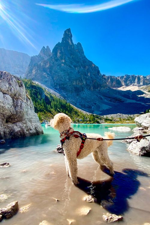 Lago Di Sorapis Hond