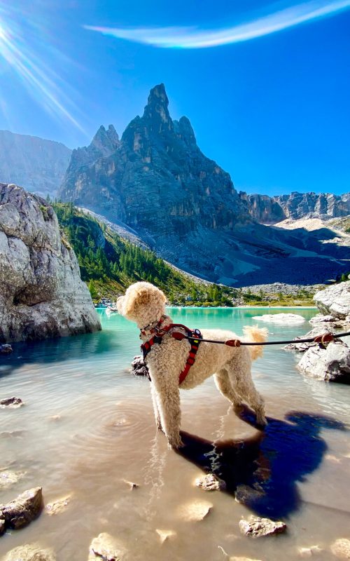 Lago Di Sorapis Hond